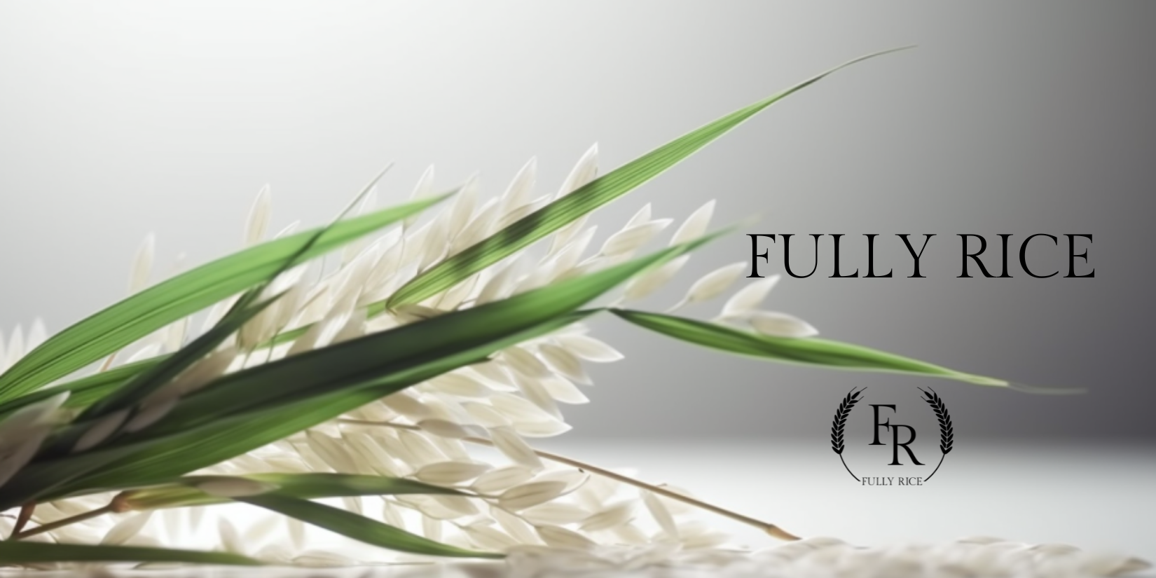 Tous les produits – Fully Rice